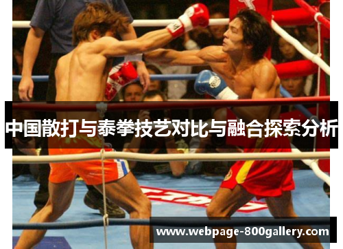 中国散打与泰拳技艺对比与融合探索分析