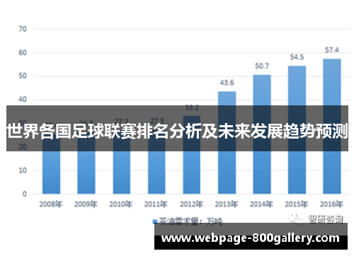 世界各国足球联赛排名分析及未来发展趋势预测